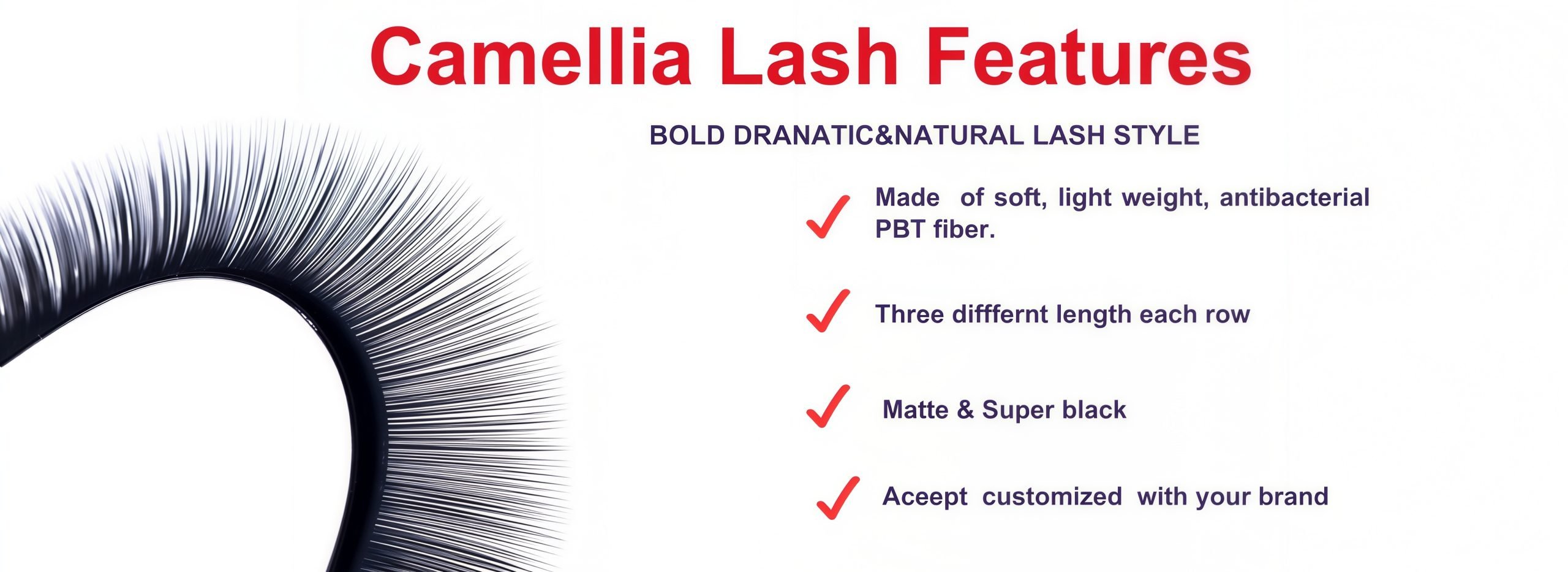 eature of  Camellia Lash Extensions