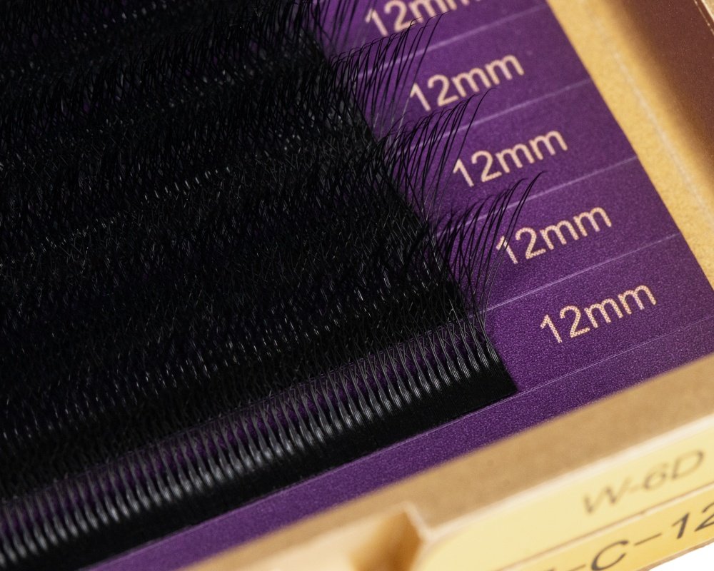 W 6d lash extensions