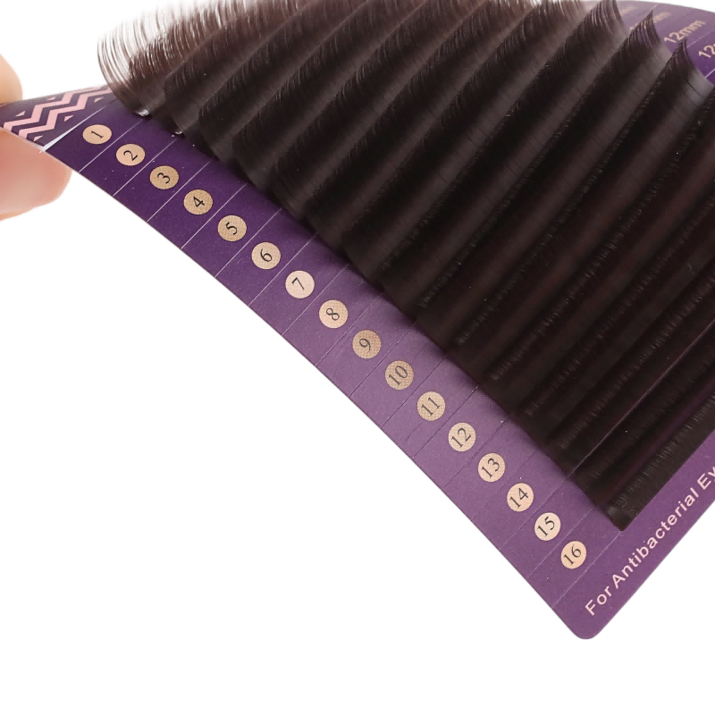 Black Brown Lashes