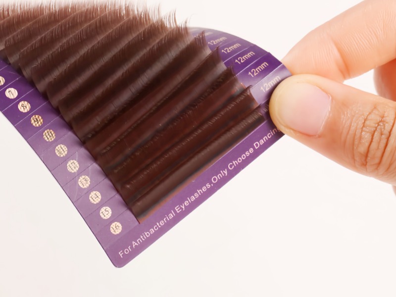 Dark Brown Lash Extensions Even color